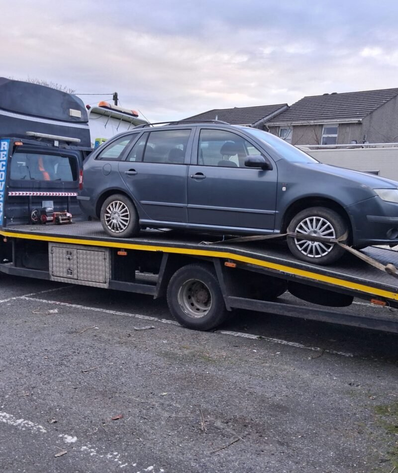 WhatsApp Image 2026-01-07 at 2.50.47 PM